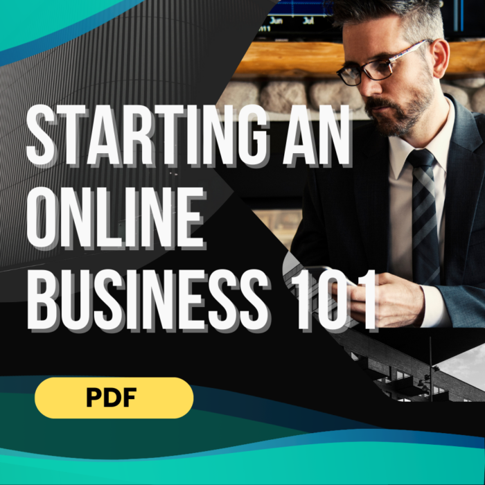 Starting an online business 101 PDF